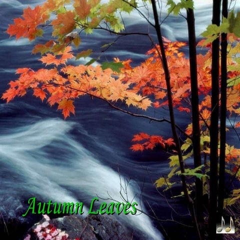 Autumn Leaves – Beautiful Autumn Leaves with Nat King Cole’s ‘Autumn Leaves’