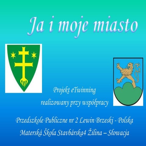 Ewaluacja ja i_moje_miasto