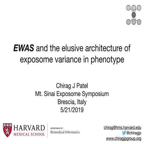 EWAS and the exposome: Mt Sinai in Brescia 052119