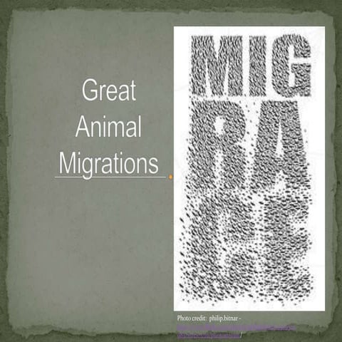 Ewing Edtech541 Presentation