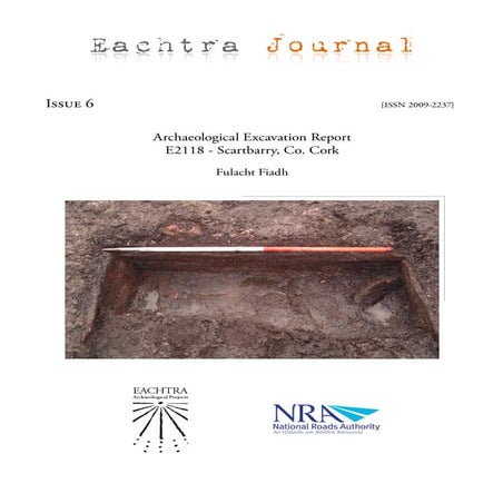 Archaeological Excavation Report E0626 - Bricketstown, Co. Wexford ...