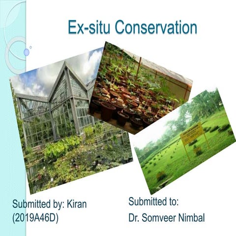 Ex situ conservation
