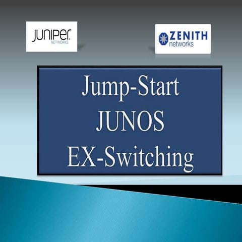 JUNOS EX-Switching