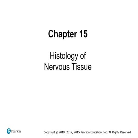 ex_15_Histology of Nerveous system.pptxx
