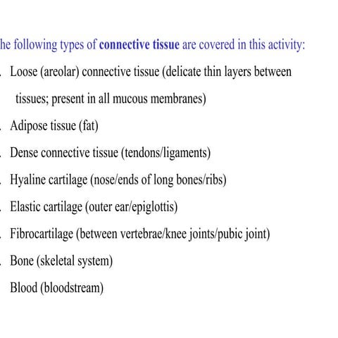 Ex 6a connective_tissues