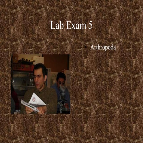 Exam 5 slides (2)