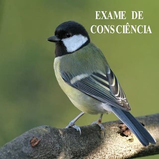 Exame de consciencia