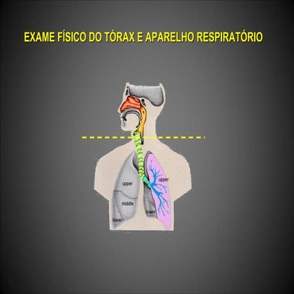 Exame físico do Tórax