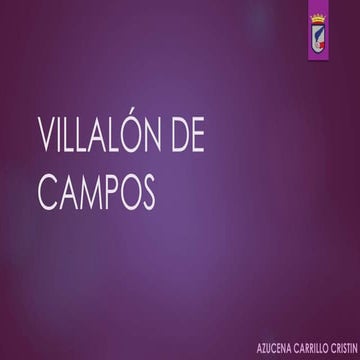 Villalón de Campos