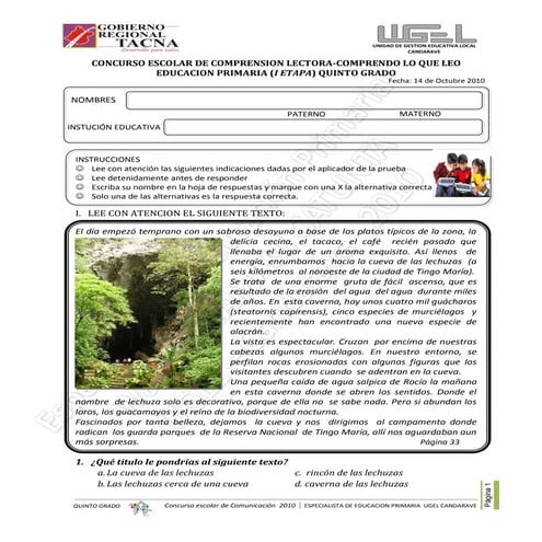 Examen de comprension+lectora quinto grado