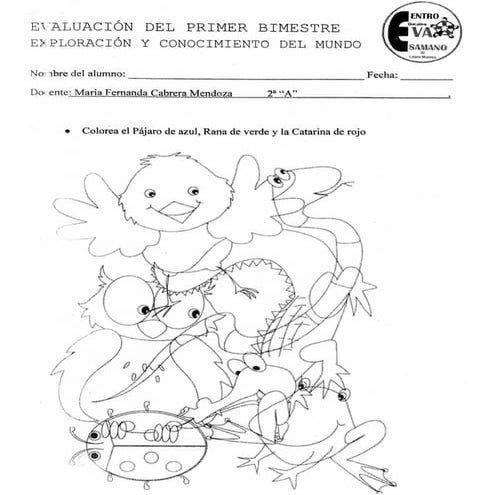 Examen de Exploración y conocimiento del mundo