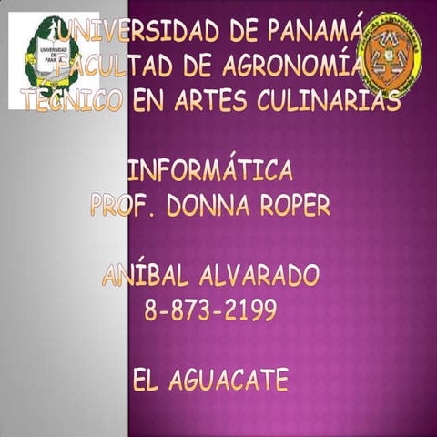 Examen de informatica