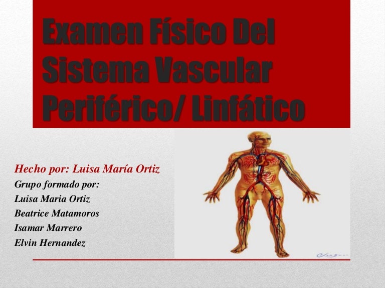principales funciones del sistema vascular periferico