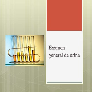 Examen general de orina