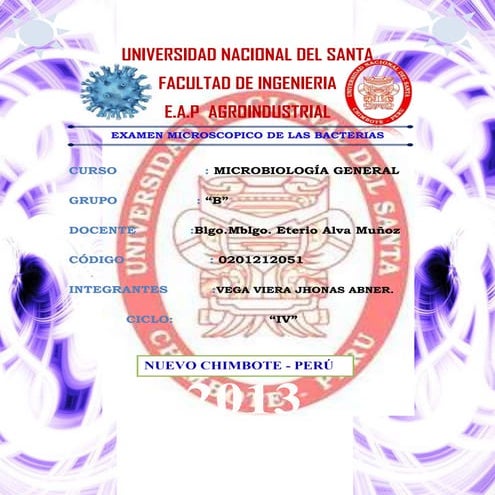 Examen microscopico de las bacterias