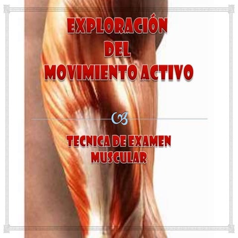 Examen movimiento activo