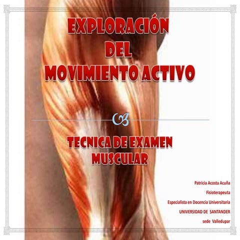 Examen movimiento activo
