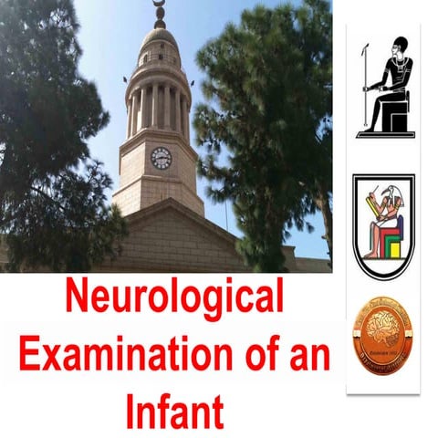 Neurological Examination  of an infant