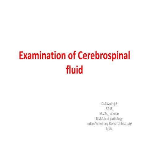 Examination of cerebrospinal fluid presentation mode