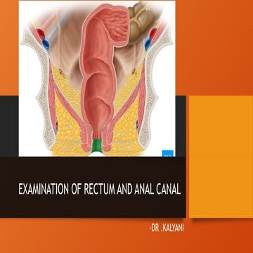 Examination of rectal case | PPTX