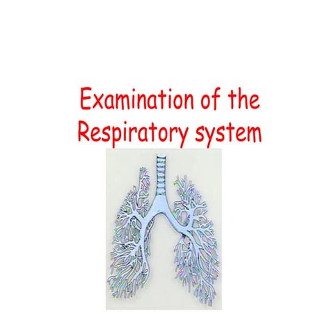 Examination of the respiratory system