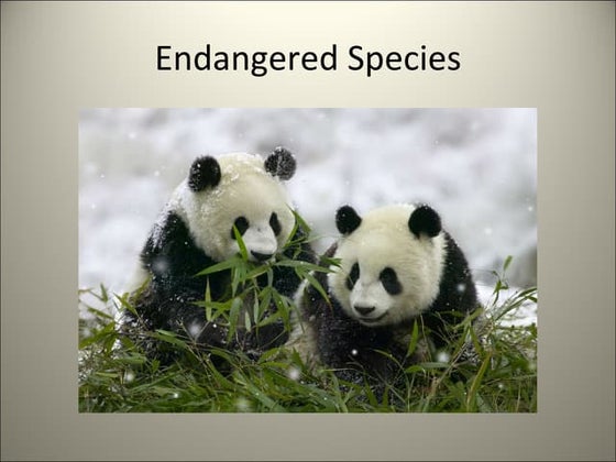 Powerpoint 7 Themes of Biology | PPTX | Large Animals | Pets