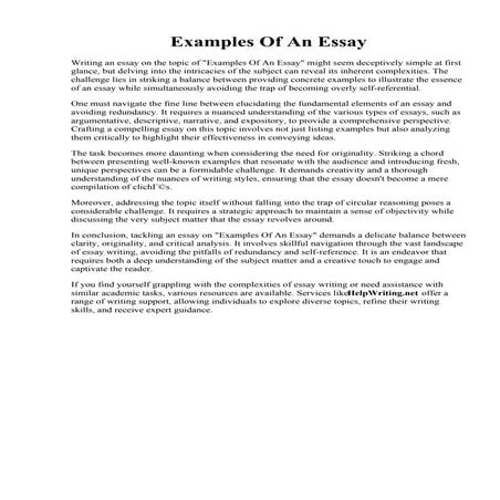 Examples Of An Essay.pdf