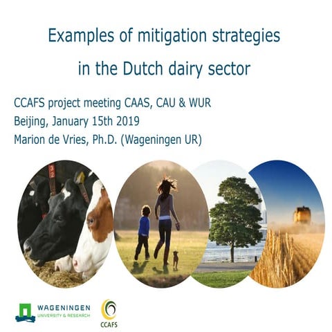 Examples of mitigation strategies in the Dutch dairy sector