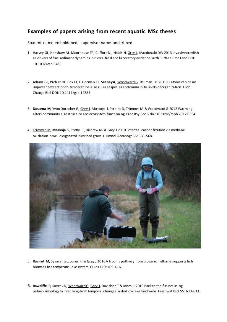 Some aquatic animals picture