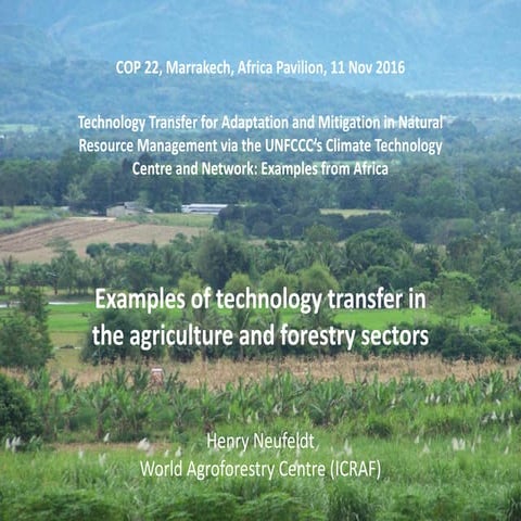 Examples of technology transfer in the agriculture and forestry sectors   cop22