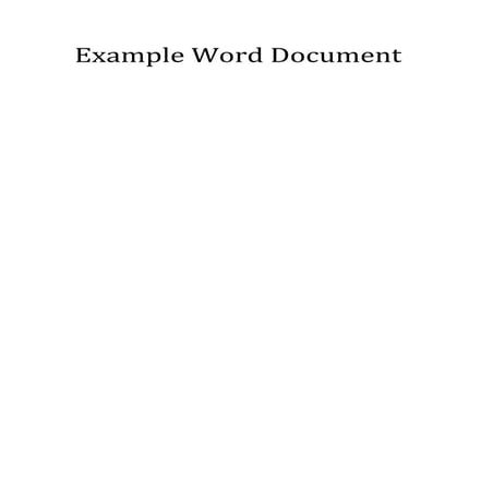 Example Word Document