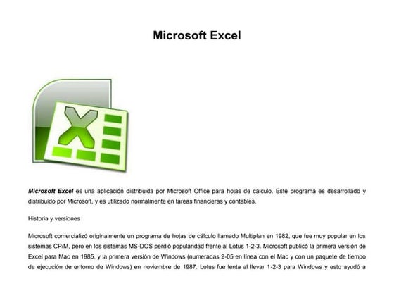 Microsoft excel | DOCX