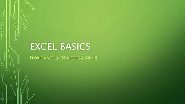 Excel  Basics