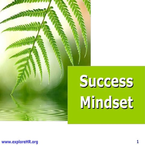 Success Mindset