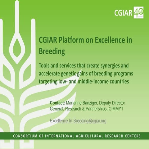 CGIAR Platform on Excellence in Breeding