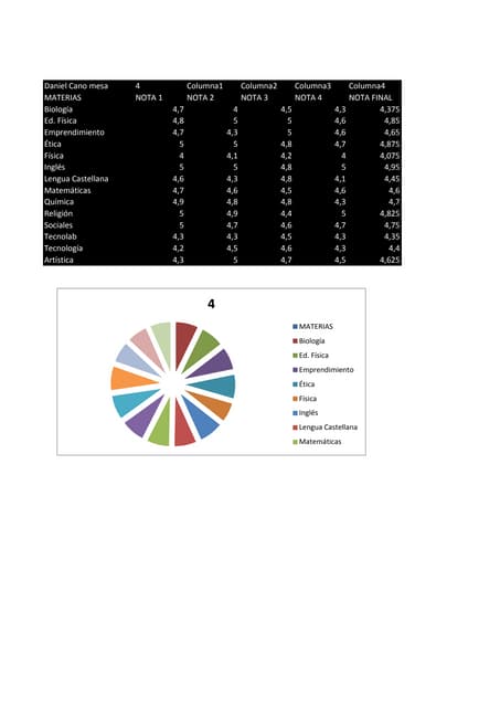 Excel notas (terminado)