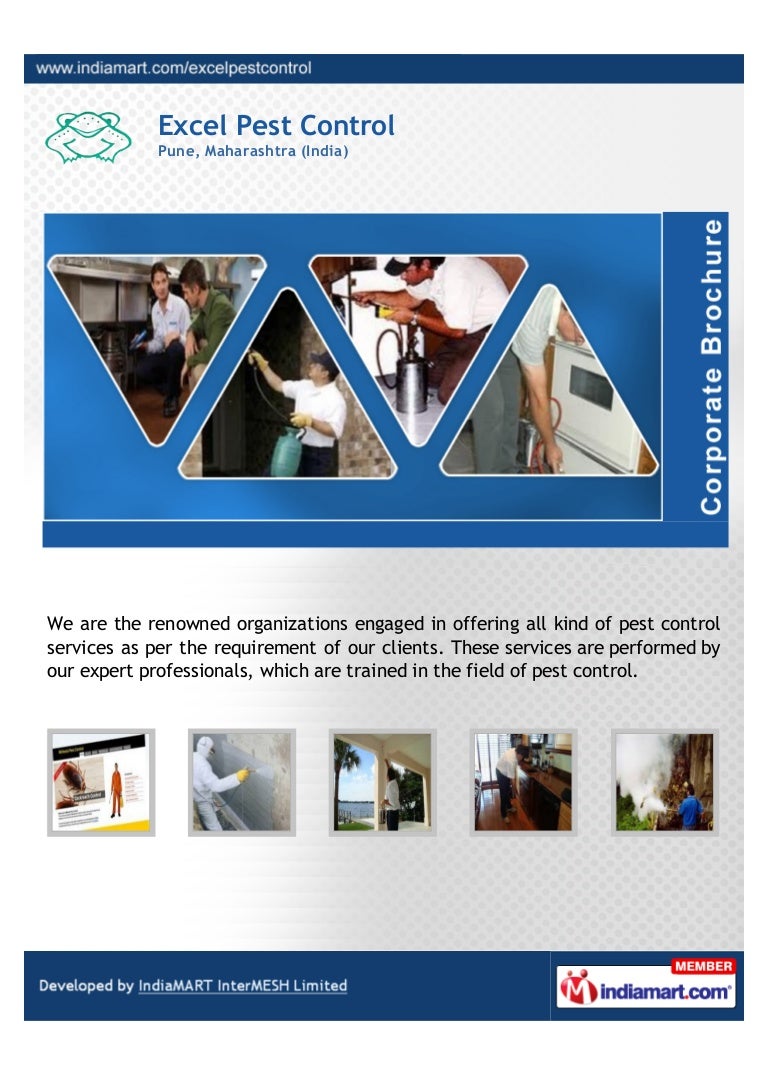 Excel Pest Control, Pune, Larvicides Treatment