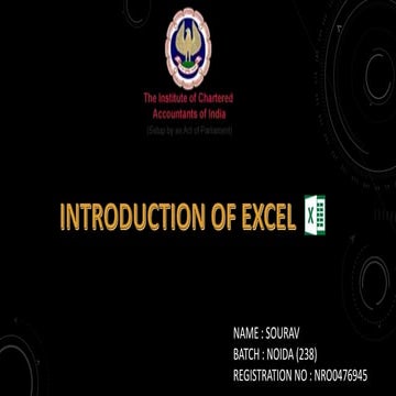 EXCEL PPT.pptx