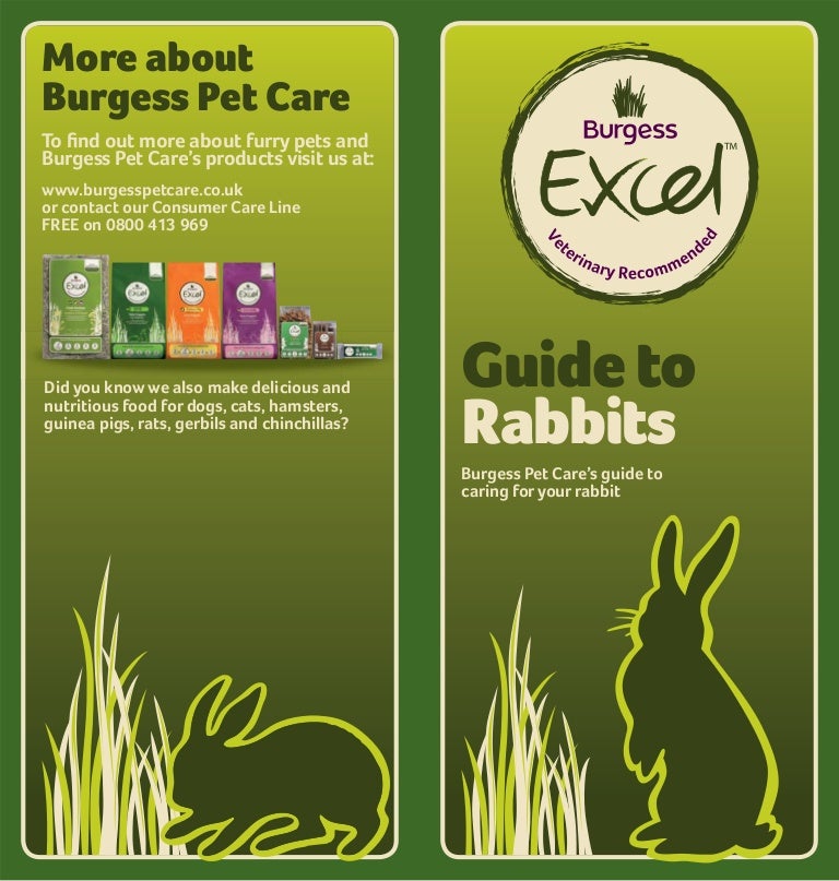 Excel Rabbit Care Guide
