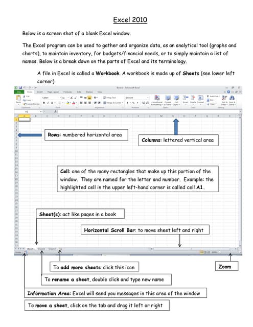 Excel screen shot info 2