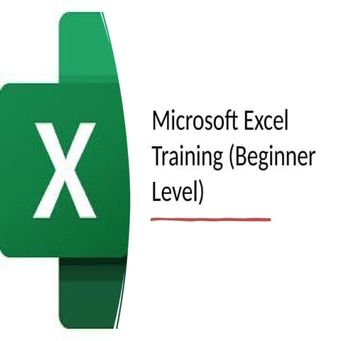 Basic Excel Training for Beginners .pptx