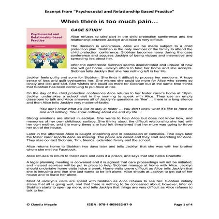 Excerpt from psychosocial and relationship based practice