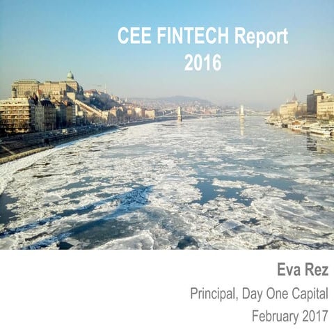 Excerpt from the CEE Fintech Report 2016