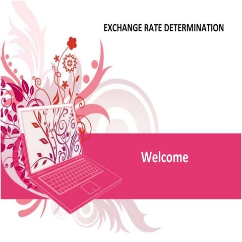 EXCHANGE RATE DETERMINATION