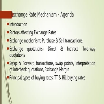 Exchange Rate Mechanism.pptx