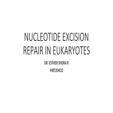 NUCLEOTIDE EXCISION REPAIR IN EUKARYOTES | PPT