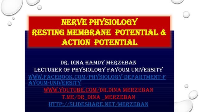 Nerve lecture 2:strength-duration curve and an introduction to action potential