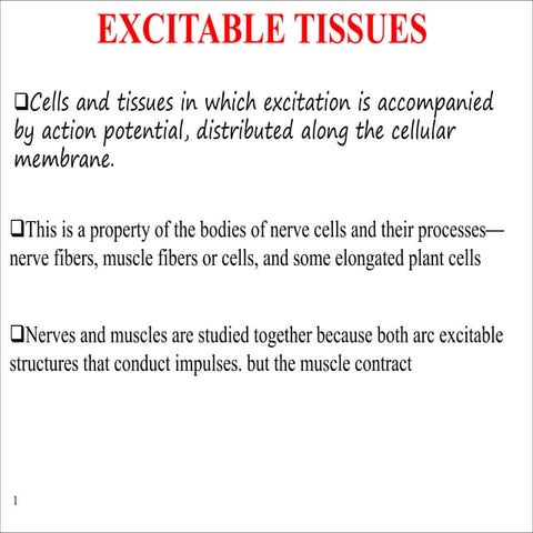 Excitable tissues nerve