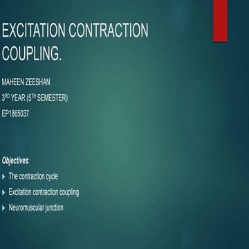Excitation contraction coupling