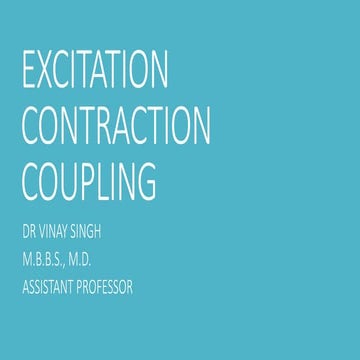EXCITATION CONTRACTION COUPLING physiology